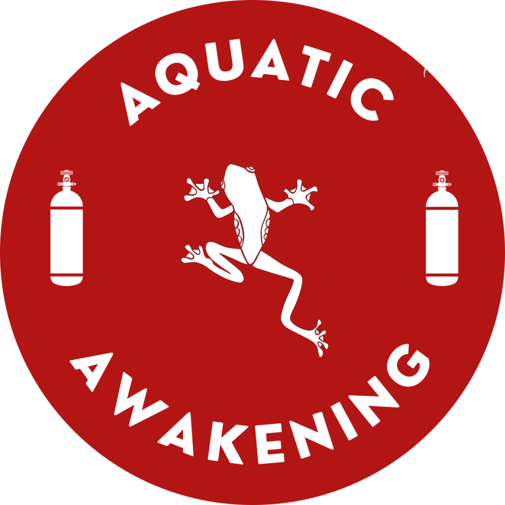 Aquatic Awakening: A Lifeline for Veterans Battling PTSD, Anxiety, and&nbsp;Depression